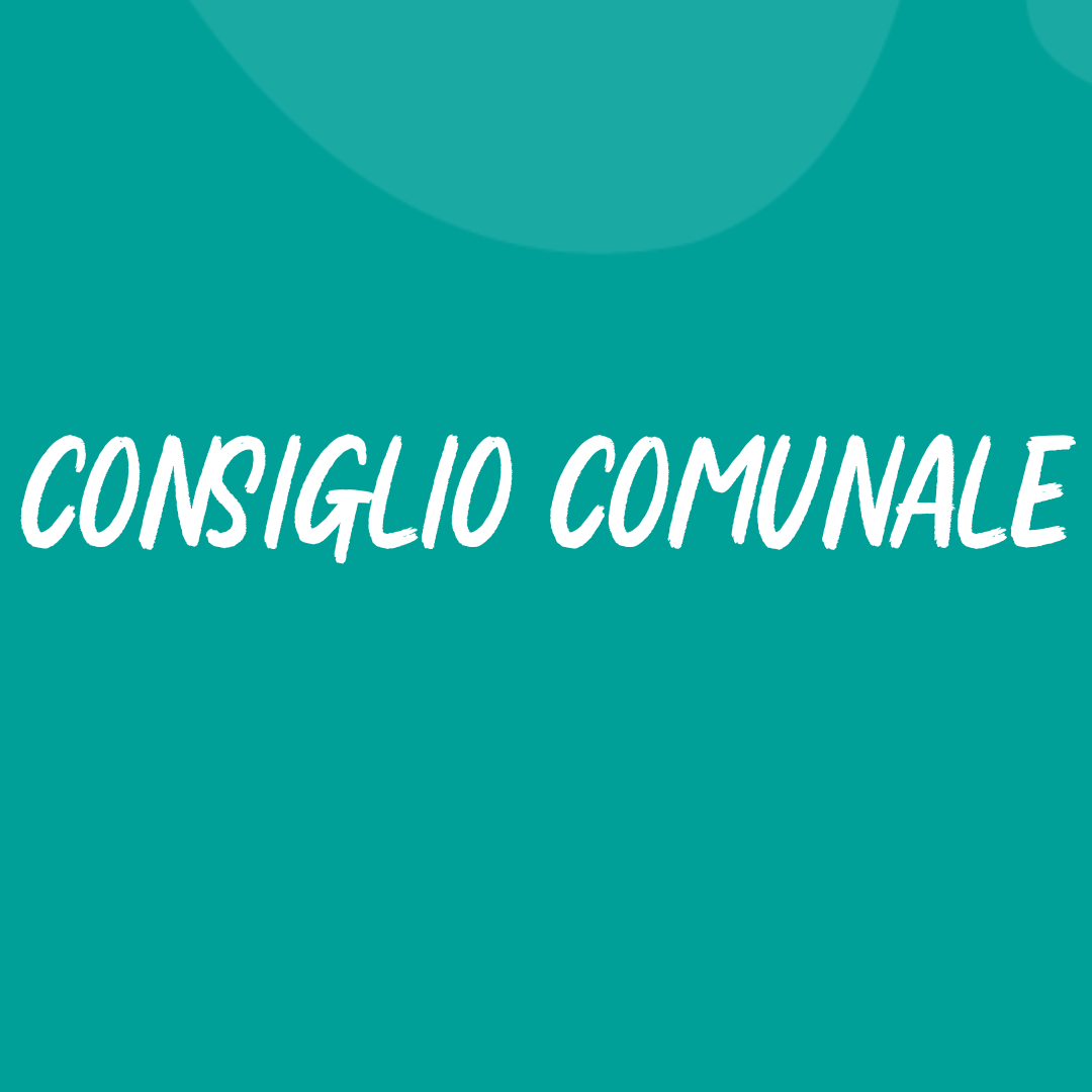 Resoconto secondo consiglio comunale