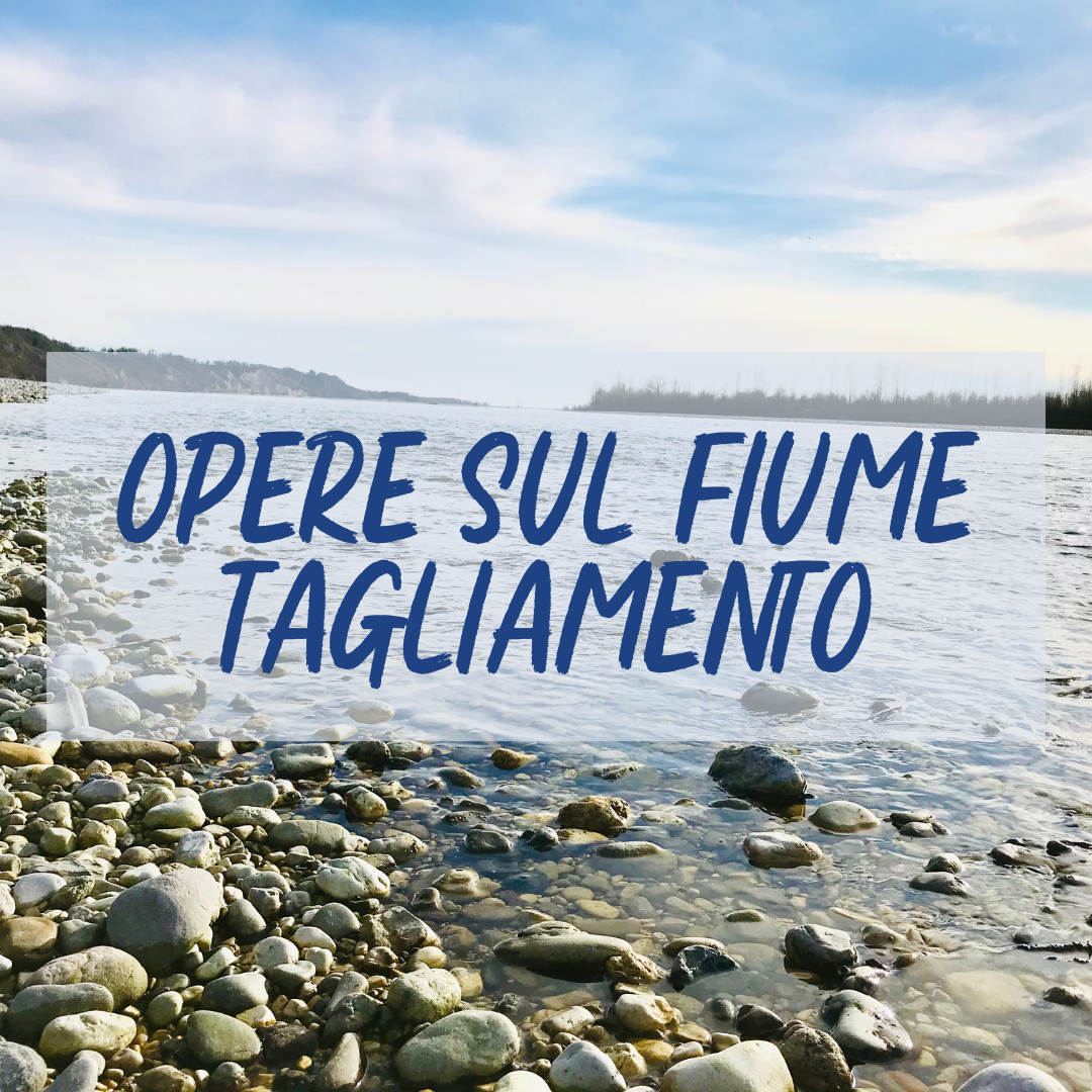 Ferma opposizione alle Opere sul tagliamento